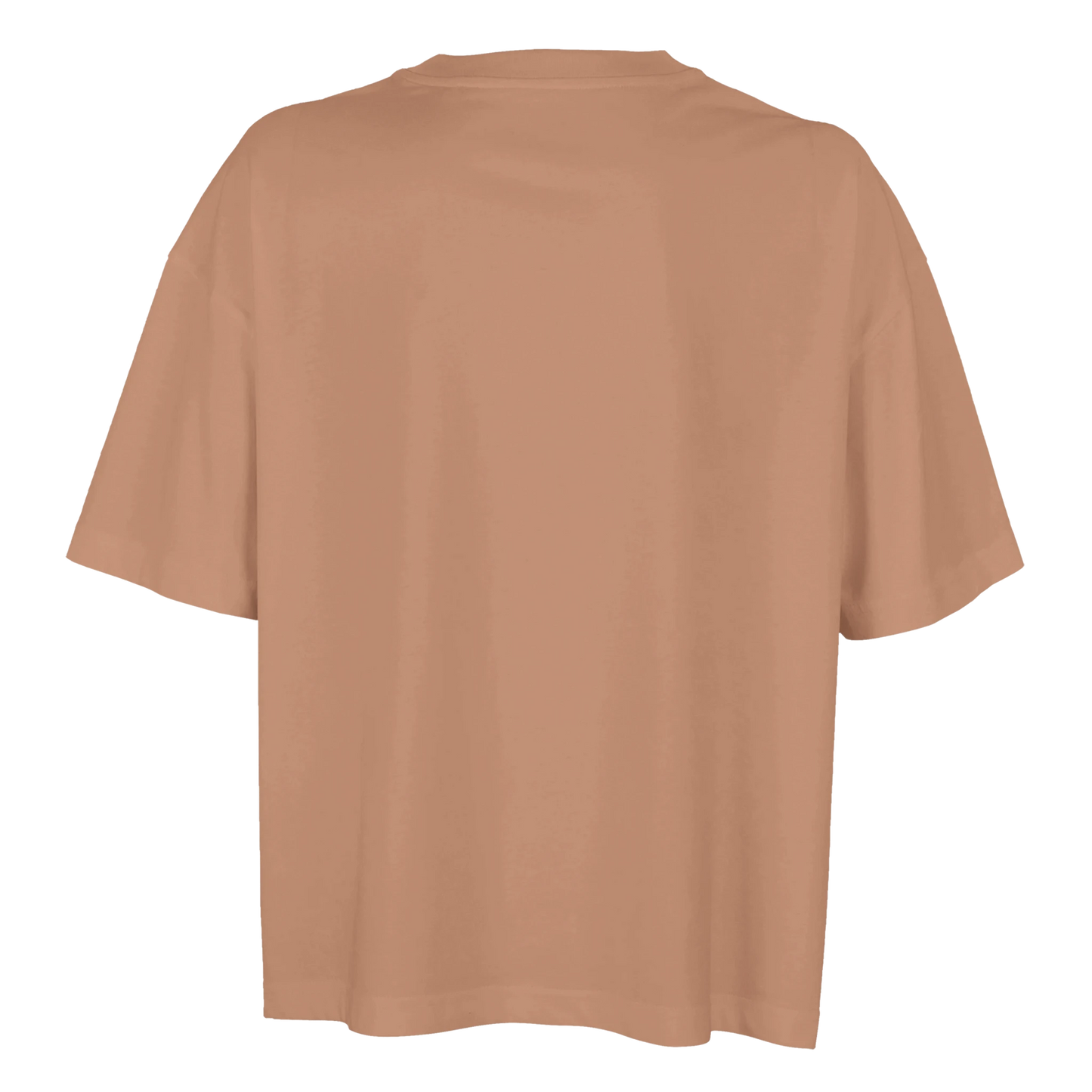prayer warrior tshirt, tshirt, women's tshirt, christian clothing brand, faith based fashion, brown tshirt, comfort colors
