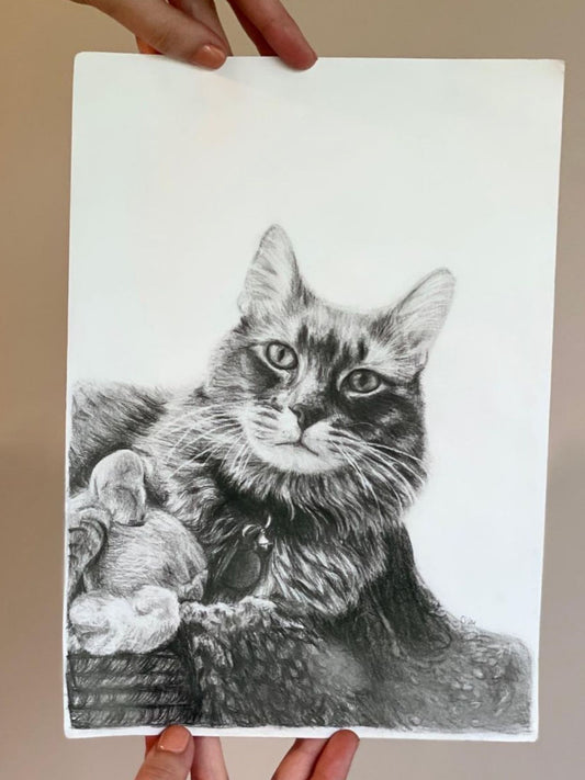 Custom Graphite Pencil Portrait | Personalized Hand-Drawn Commission | Watercolor