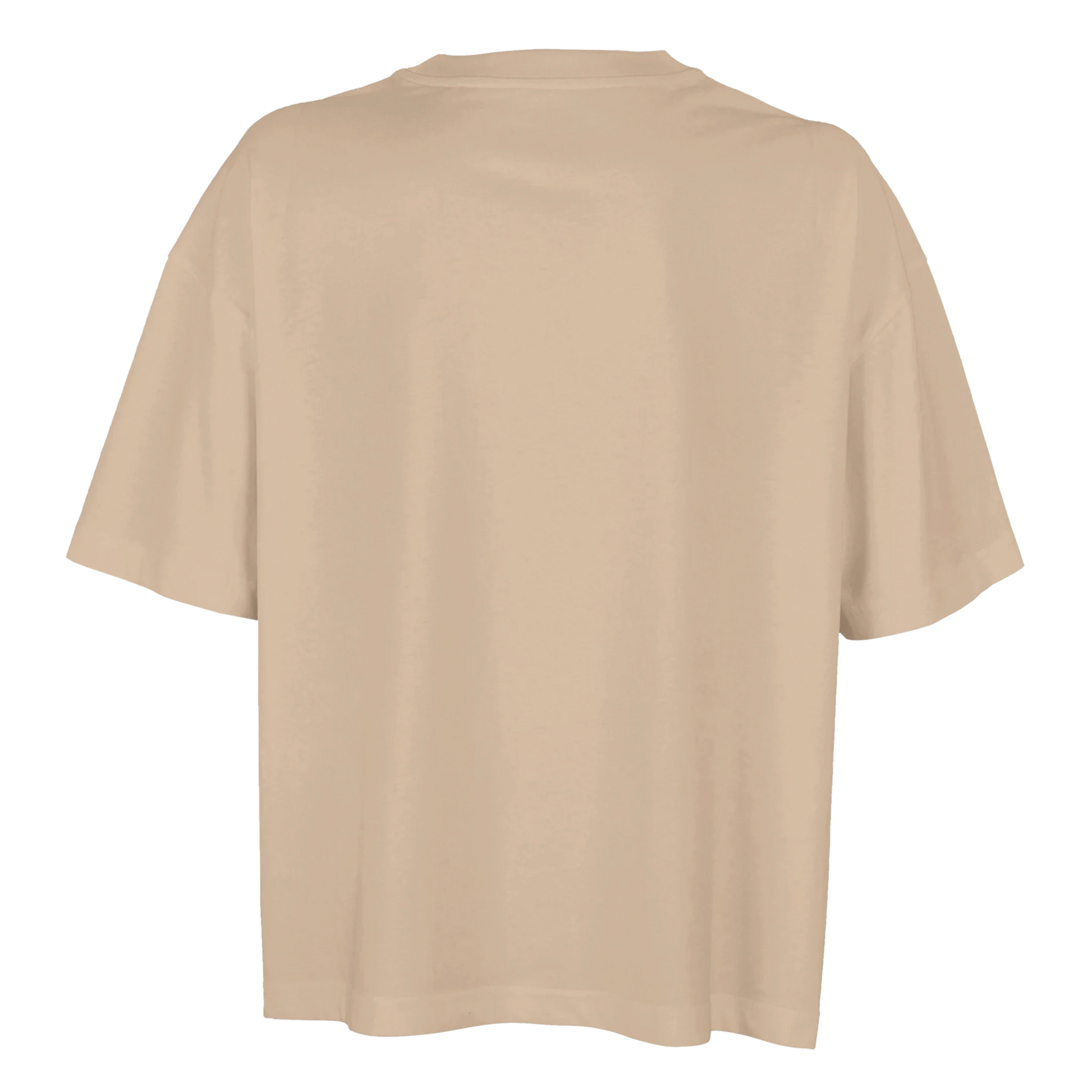 Beige t-shirt with 'Rejoice in the Lord' text,  rejoice in the Lord tee, tshirt, women's tshirt, christian clothing brand, faith based fashion, beige tee, basic tshirt, floral design
